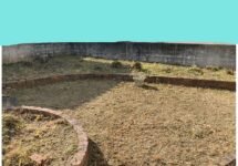 植木の伐採　アフター