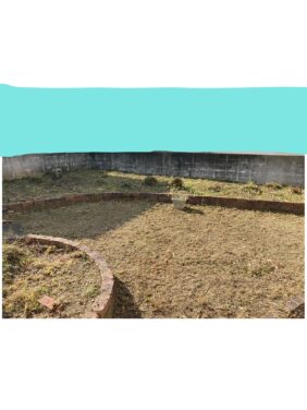 植木の伐採　アフター